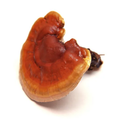 Betaglucano de ganoderma lucidum (Reishi)
